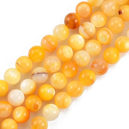 Natural Golden Yellow Shell Beads Strands SSHEL-G024-01C-1