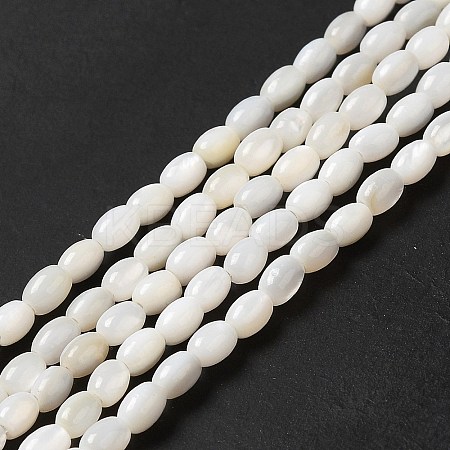 Natural Freshwater Shell Beads Strand BSHE-E026-16B-1