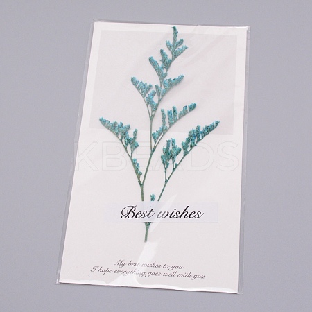 Paper Cards DIY-WH0183-41D-1