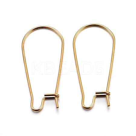 304 Stainless Steel Hoop Earring Findings STAS-P223-01G-01-1
