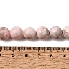 Natural Pink Zebra Jasper Beads Strands G-P231-01-10mm-9