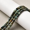Natural African Turquoise(Jasper) Beads Strands G-F717-02B-01-5