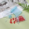 Organza Gift Bags with Drawstring OP-R016-7x9cm-08-5