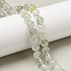 Natural Green Beryl Beads Strands G-F787-01-8mm-1