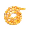 Natural Golden Yellow Shell Beads Strands SSHEL-G024-01C-2