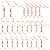 50Pcs 304 Stainless Steel Earring Hooks STAS-SC0010-74RG-1