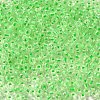 12/0 Transparent Glass Seed Beads X-SEED-F003-03C-13-3