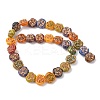Painted Glass Beads Strands GLAA-B037-12C-12C-2