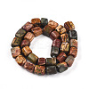 Natural Polychrome Jasper/Picasso Stone/Picasso Jasper Beads Strands G-T140-60A-2
