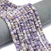 Frosted Natural Amethyst Beads Strands G-K389-C25-01-1