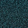 MIYUKI Round Rocailles Beads SEED-G007-RR2406-3