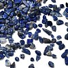 Natural Lapis Lazuli Chip Beads G-L453-05-4
