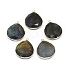 Natural Labradorite Pendants G-E526-05A-2
