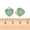 Resin with Golden Zinc Alloy Charms RESI-CJC0009-04D-3