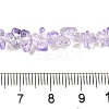 Transparent Glass Beads Strands GLAA-P060-01C-20-4