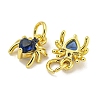 Rack Plating Brass Micro Pave Cubic Zirconia Spider Charms ZIRC-I065-02D-2