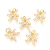 Brass Micro Pave Clear Cubic Zirconia Charms ZIRC-O036-30G-B-1
