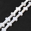 Natural Freshwater Shell Beads Strands X-BSHE-E026-18-1