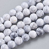 Natural Howlite Beads Strands X-TURQ-G091-6mm-1