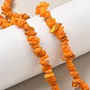 Natural Freshwater Shell Beads Strands BSHE-I016-01I-5