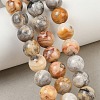 Natural Crazy Lace Agate Beads Strands G-S259-38-10mm-5