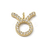 Ion Plating(IP) 304 Stainless Steel Micro Pave Cubic Zirconia Charms STAS-Z107-09G-03-1