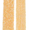 Transparent Glass Beads Strands LS-EGLA-A044-T2mm-MB03-2