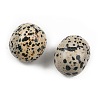 Natural Dalmatian Beads G-G348-01B-48-2