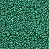 MIYUKI Round Rocailles Beads X-SEED-G007-RR4477-2