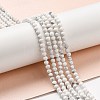 Natural Howlite Beads Strands X-G-E608-A01-B-5