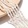 Natural Cultured Freshwater Pearl Beads Strands PEAR-N028-01-1