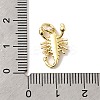 Brass Charms KK-I364-05G-04-3