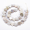 Electroplated Natural Freshwater Shell Beads Strands SHEL-N026-164-2