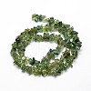 Natural Apatite Chip Beads Strands G-E241-83-2