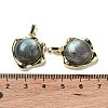 Natural Labradorite Pendants G-G069-01G-06-3
