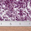 MIYUKI Delica Beads SEED-JP0008-DB2389-4