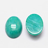 Imitation Amazonite Cabochons LS-G-K021-20x15mm-09-2