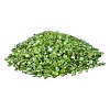 Natural & Dyed Peridot Tumbled Chips X-PW-WGA7DCE-05-1