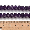 Natural Amethyst Beads Strands G-Z111-A08-02-6