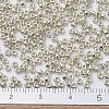 MIYUKI Round Rocailles Beads SEED-X0054-RR0181-2