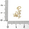 Brass Micro Pave Cubic Zirconia Charms LS-ZIRC-I356-32G-3