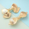 Texture Alloy Hair Barrettes AJEW-M043-01G-01-1