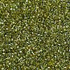 MIYUKI Delica Beads SEED-X0054-DB2377-3