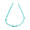 Handmade Lampwork Beads Strands LAMP-Q037-02B-09-2