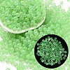 Luminous Glow in the Dark Transparent Glass Round Beads GLAA-F124-B09-1