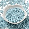 Glass Seed Beads SEED-K009-02A-02-2