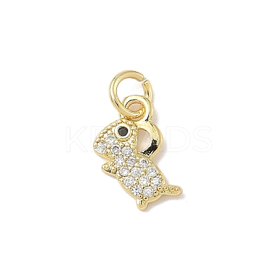 Brass Micro Pave Cubic Zirconia Charms ZIRC-I356-15G-03-1
