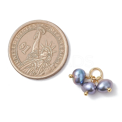 Natural Cultured Freshwater Pearl 3 Potato Charms PALLOY-JF04878-1