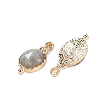Natural Labradorite Faceted Pendans KK-L218-003G-03-1