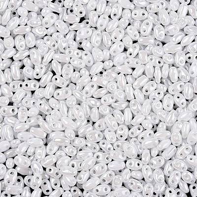 Opaque Colours Luster Glass Seed Beads SEED-T006-02L-1